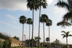 Southgate_Boulevard